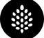 backpine labs